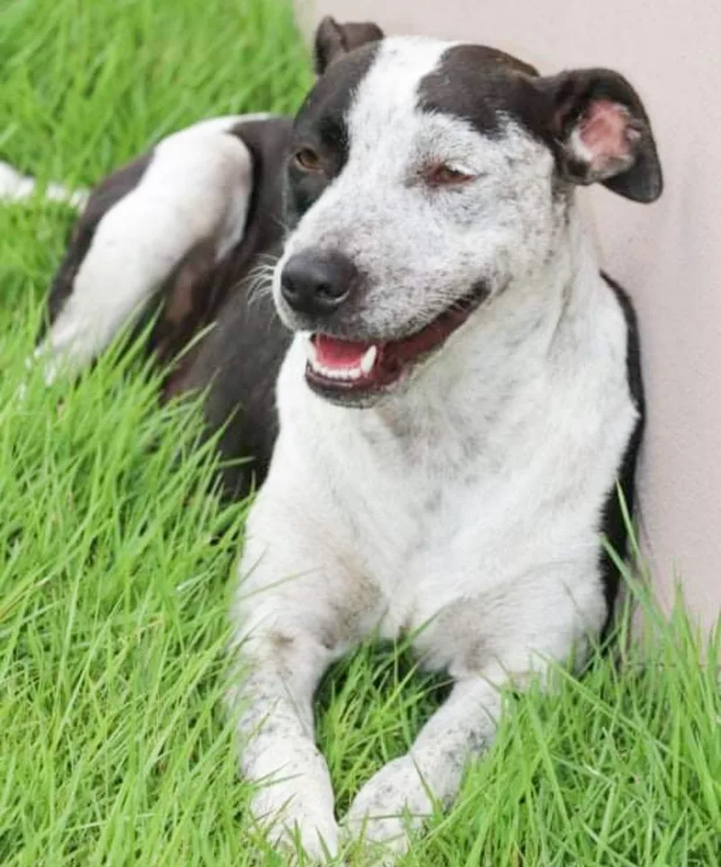 Dalma "happy For You." thumbnail 5