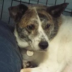 Brittney thumbnail 2