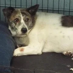 Brittney thumbnail 3