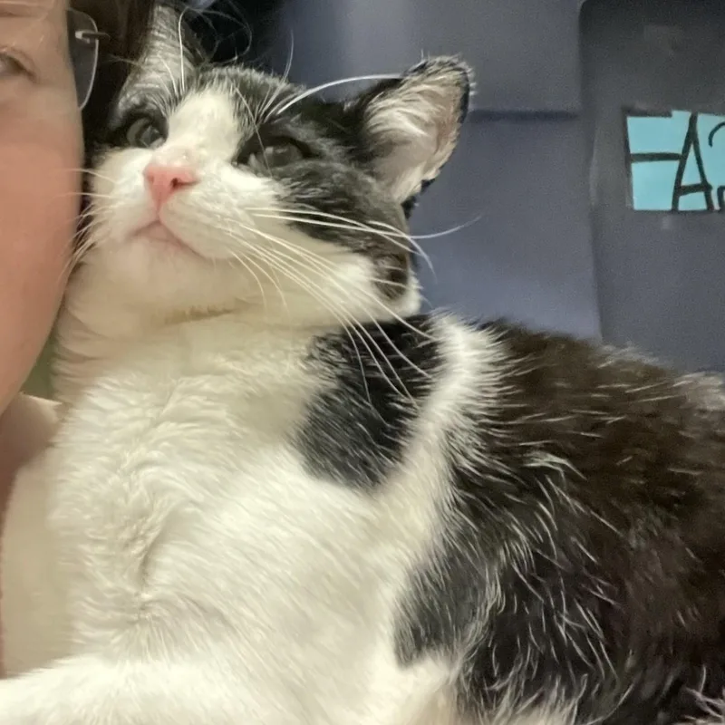 Miki  Bonded to thumbnail 4