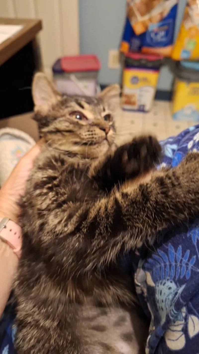 Abby thumbnail 2