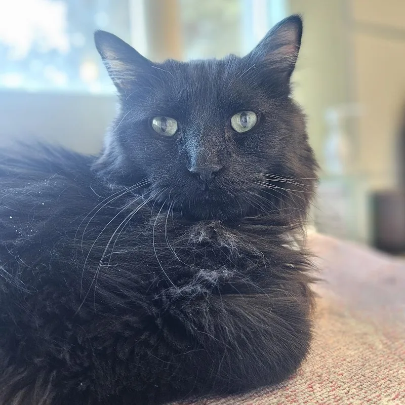 Charlie