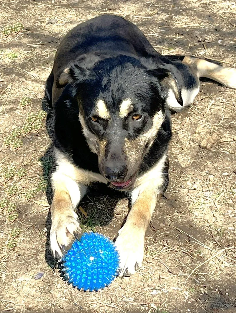 Carmelita thumbnail 2