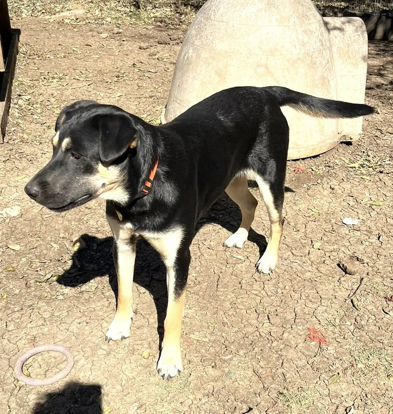 Carmelita thumbnail 3