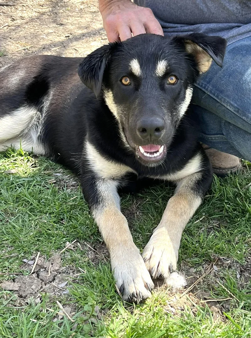 Carmelita thumbnail 4