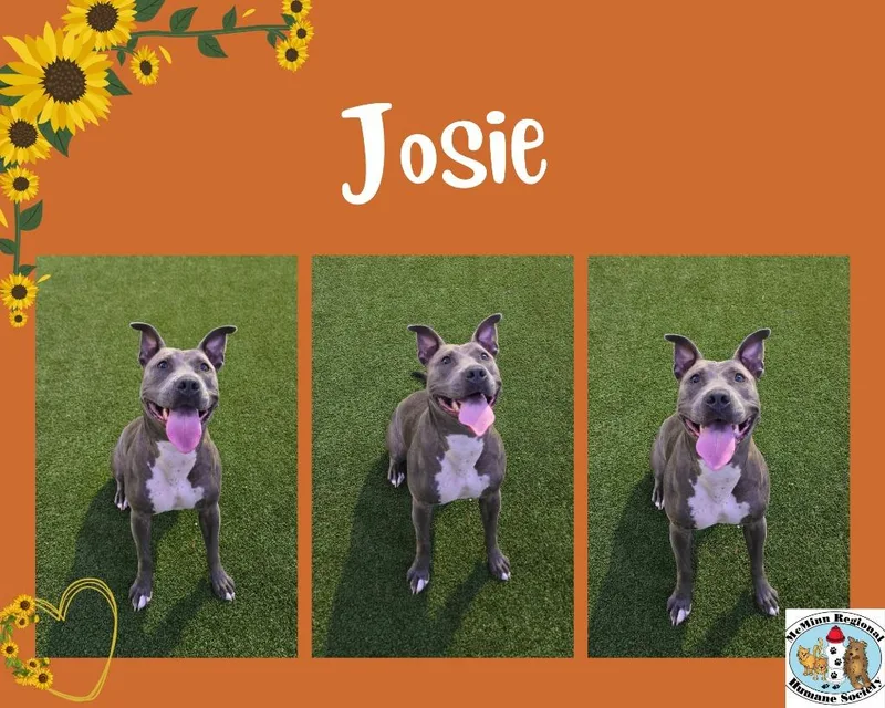 Josie thumbnail 2