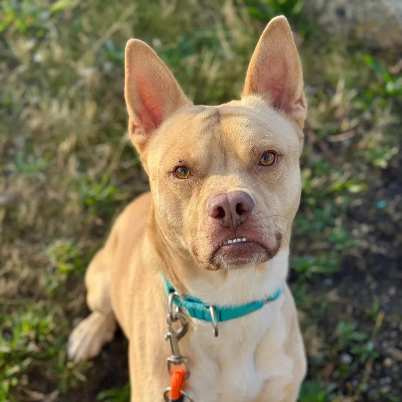 Rasputin thumbnail 2