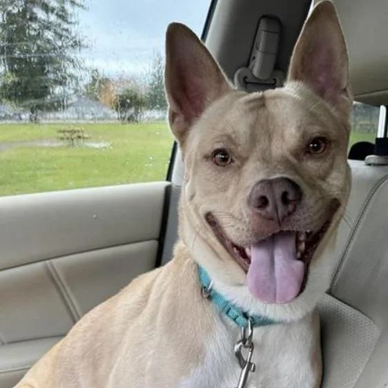 Rasputin thumbnail 3