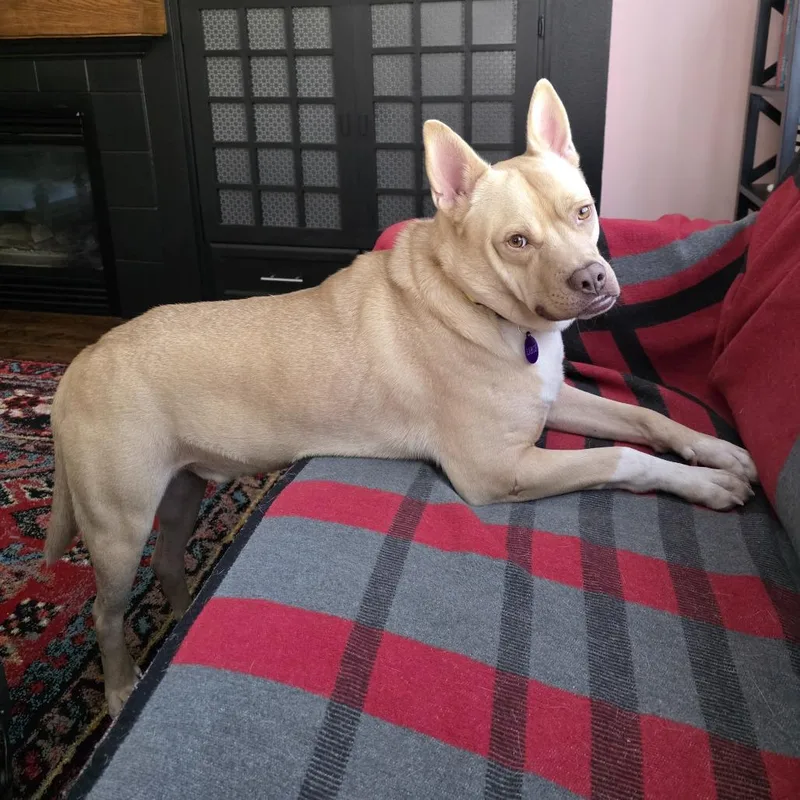 Rasputin thumbnail 4