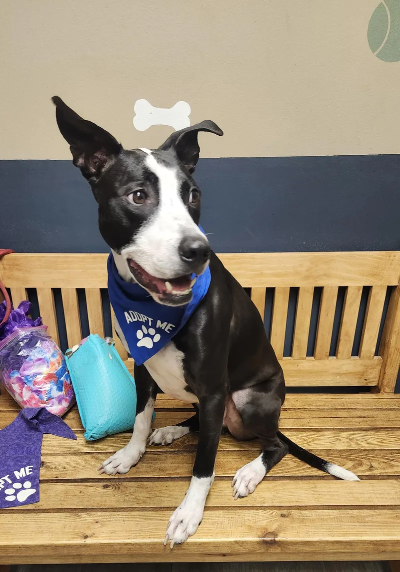 Damian Prison Program thumbnail 2