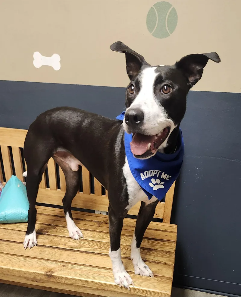 Damian Prison Program thumbnail 3