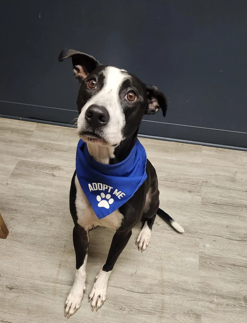 Damian Prison Program thumbnail 4