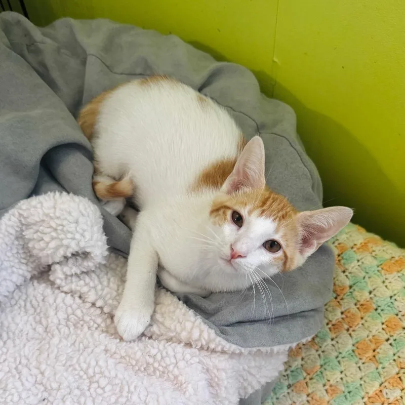 Max