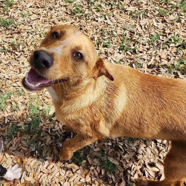 Dewey Gch thumbnail 3