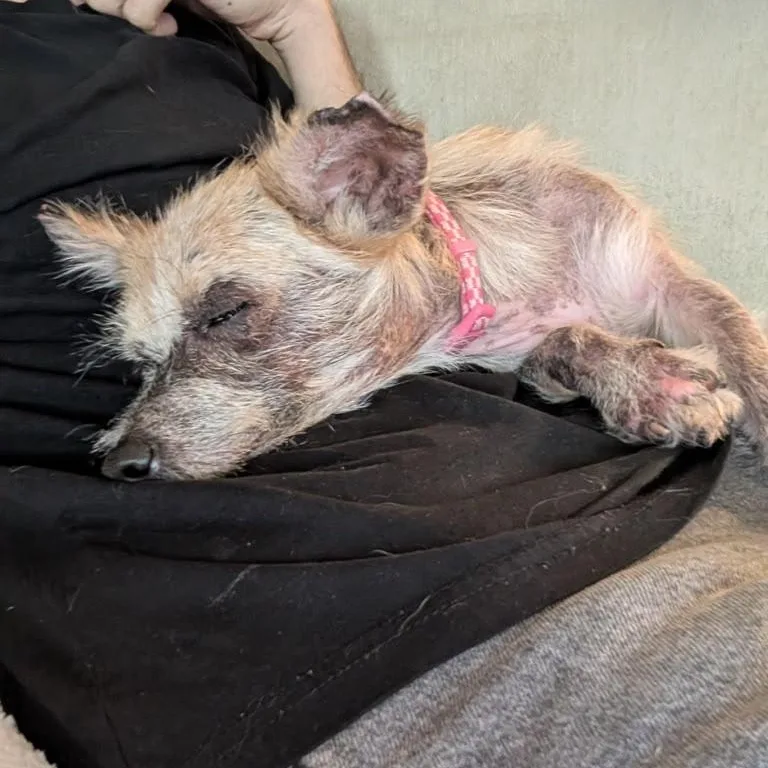 Winnie thumbnail 5
