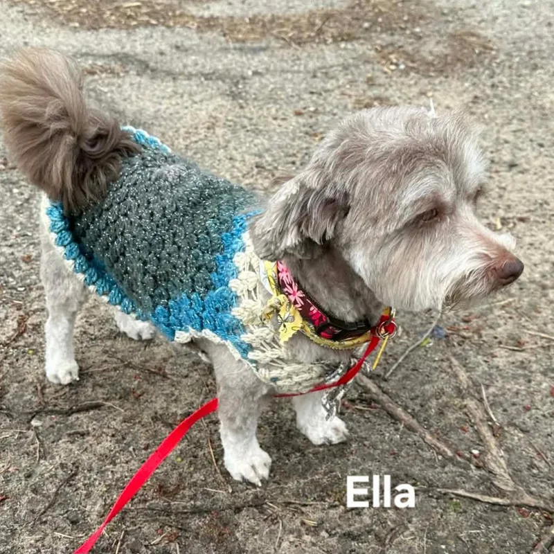 Ella thumbnail 2