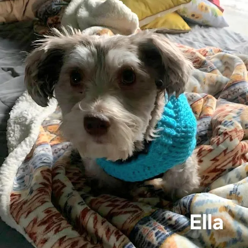 Ella thumbnail 3