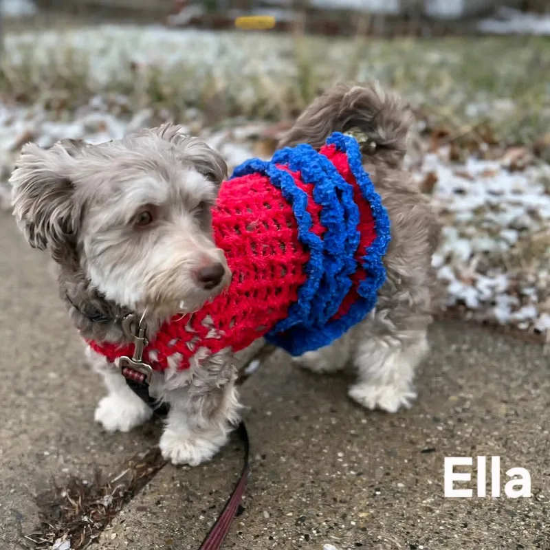 Ella thumbnail 5
