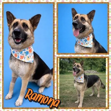 Ramona thumbnail 2