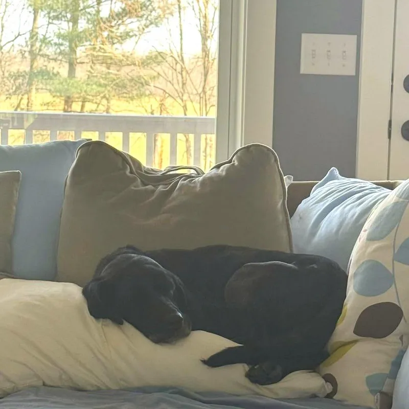 Pepper thumbnail 4