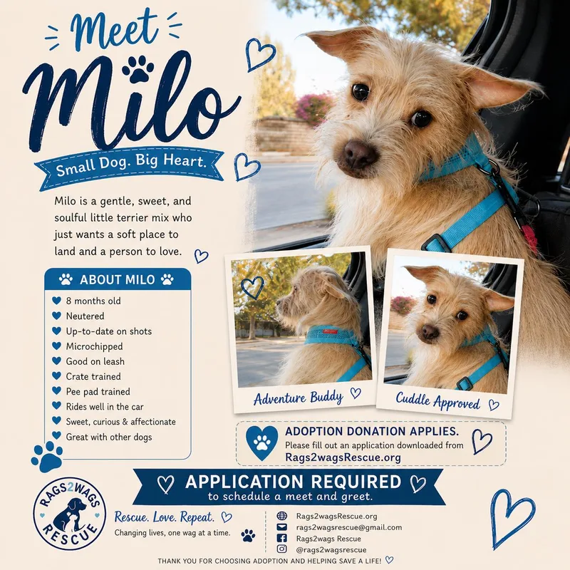 Milo