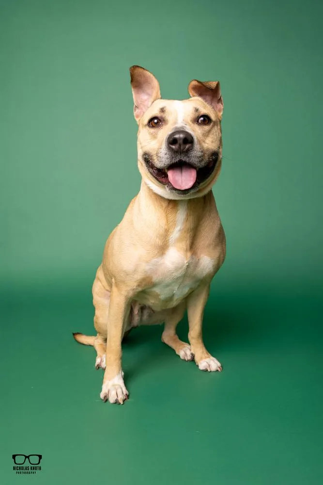 Cici thumbnail 5