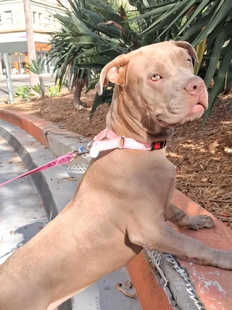 Lola thumbnail 2