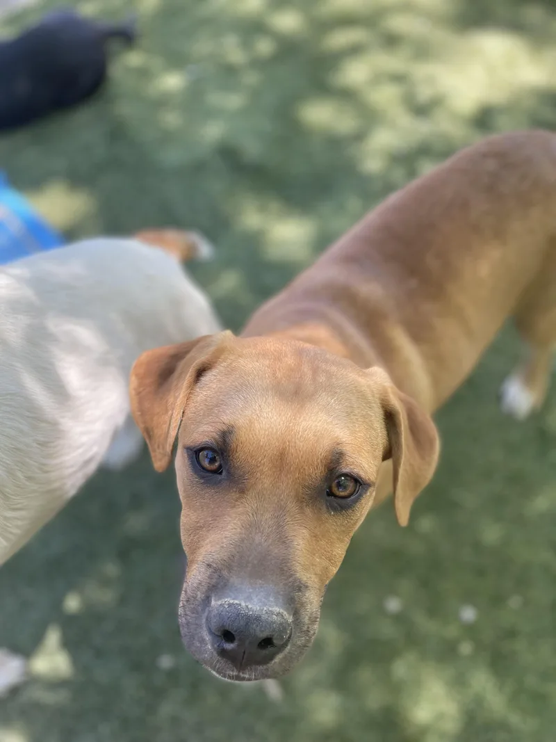 Jumbo Zoom thumbnail 2