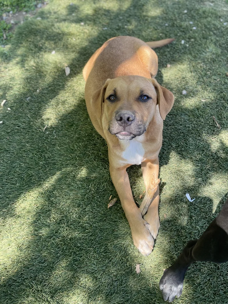 Jumbo Zoom thumbnail 3