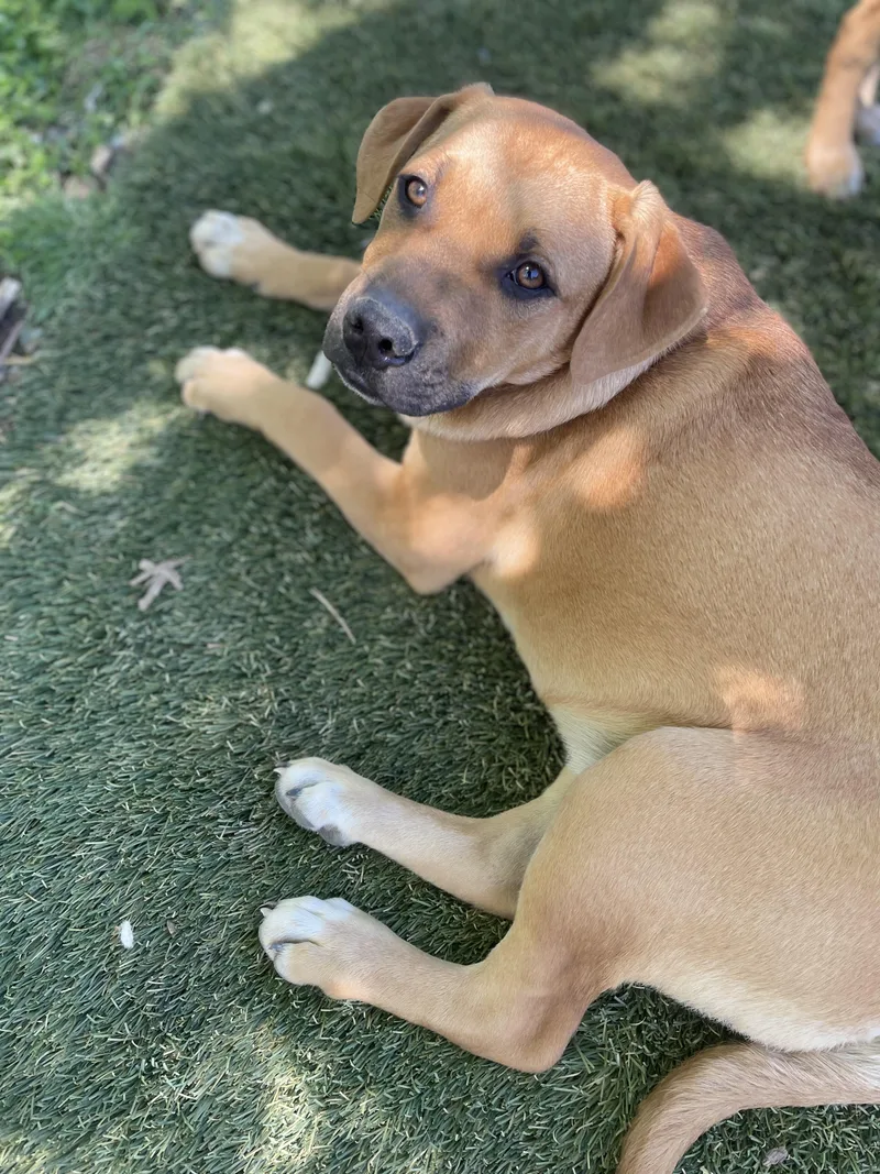 Jumbo Zoom thumbnail 5