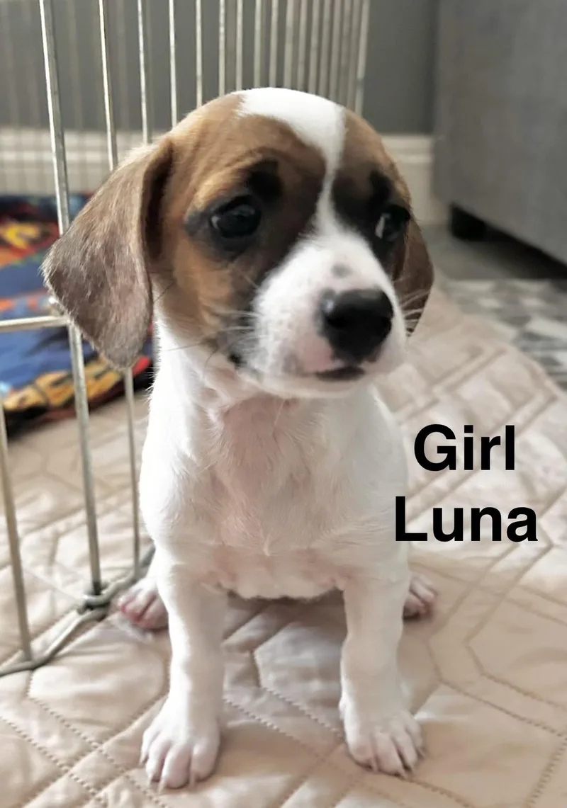 Luna