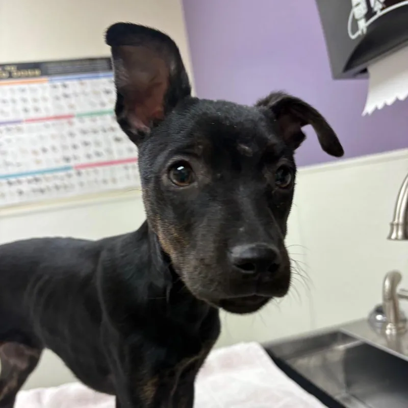 Timmy Turner thumbnail 2