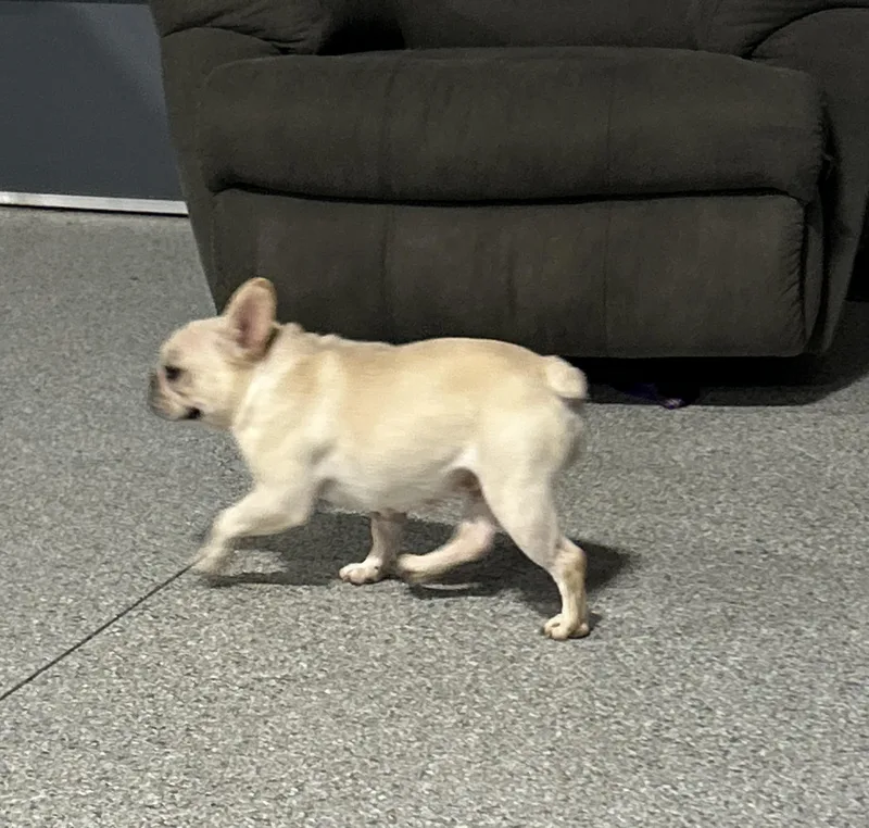 Fanny. Petite! thumbnail 2