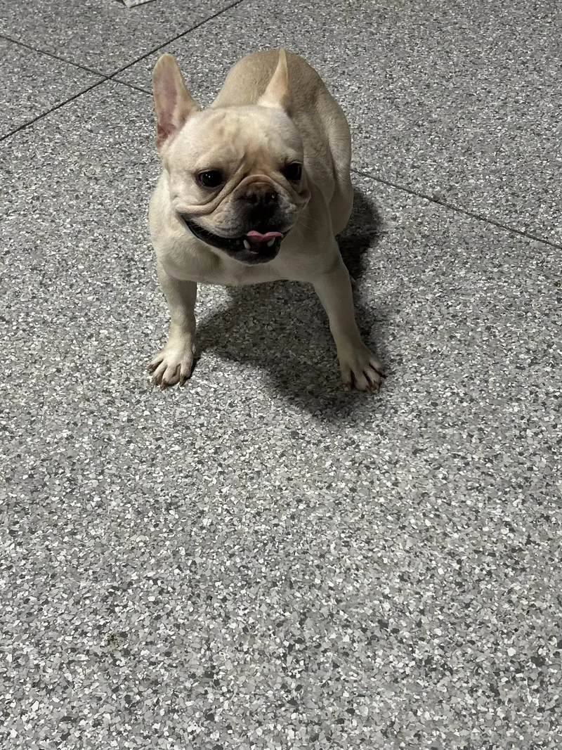 Fanny. Petite! thumbnail 3