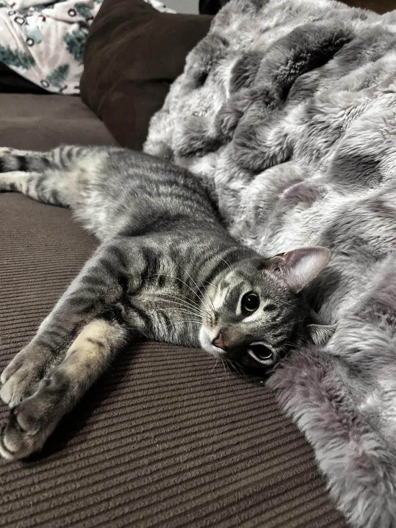 Kirby & Carrie thumbnail 5