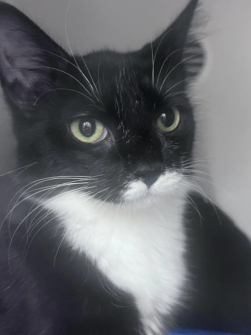 Abby thumbnail 3