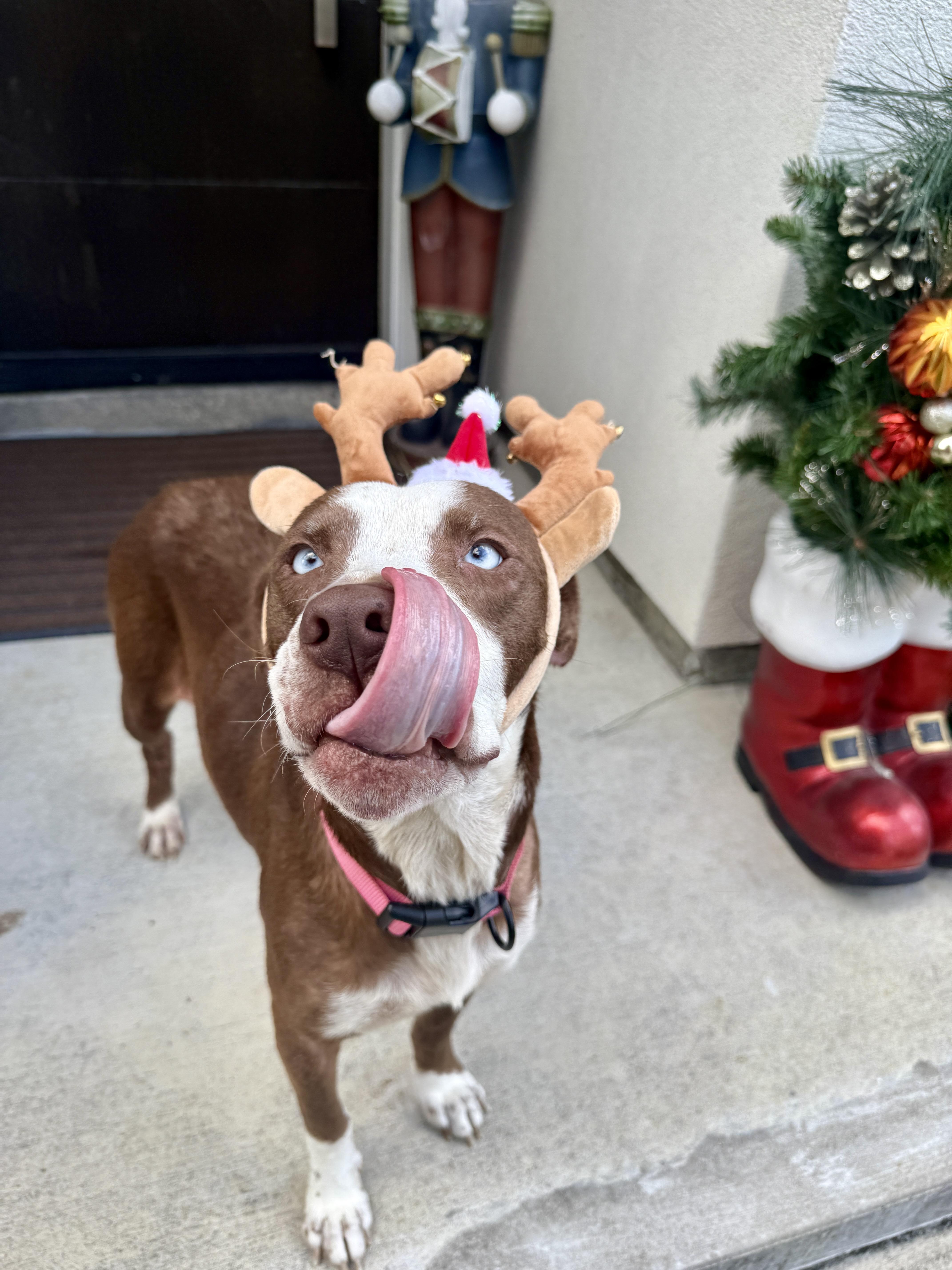 Mama Rosemary thumbnail 2