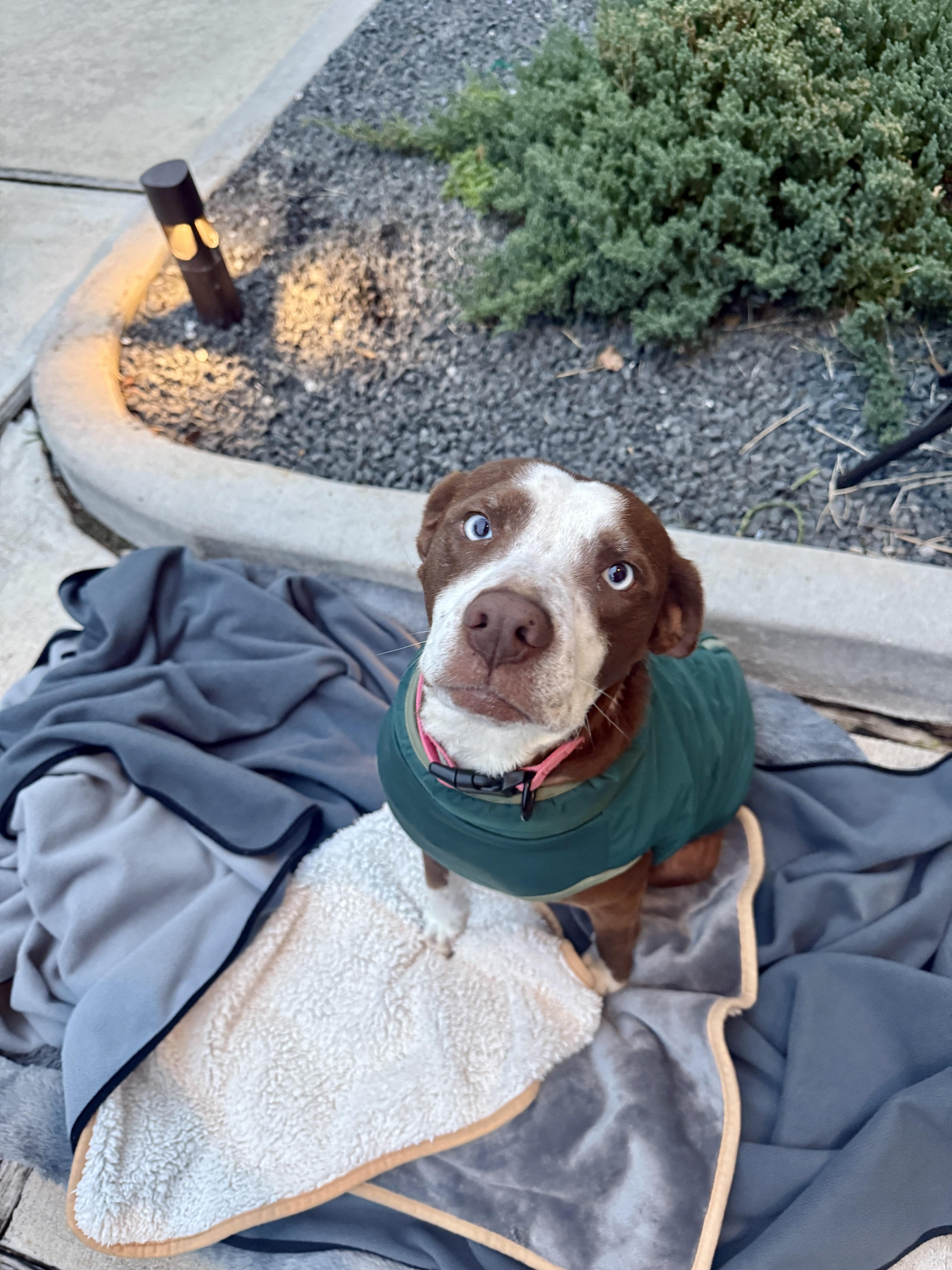 Mama Rosemary thumbnail 3