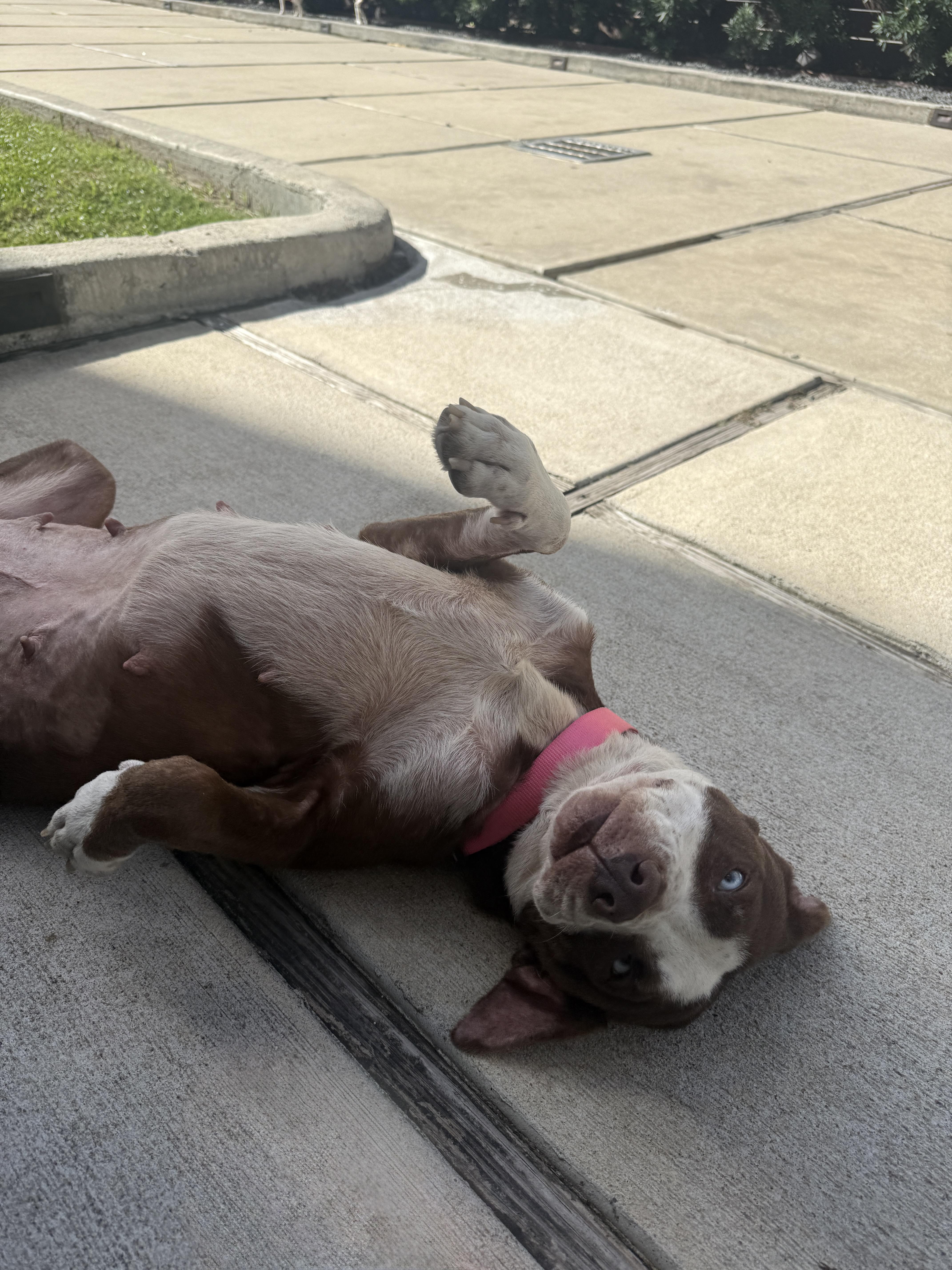 Mama Rosemary thumbnail 4