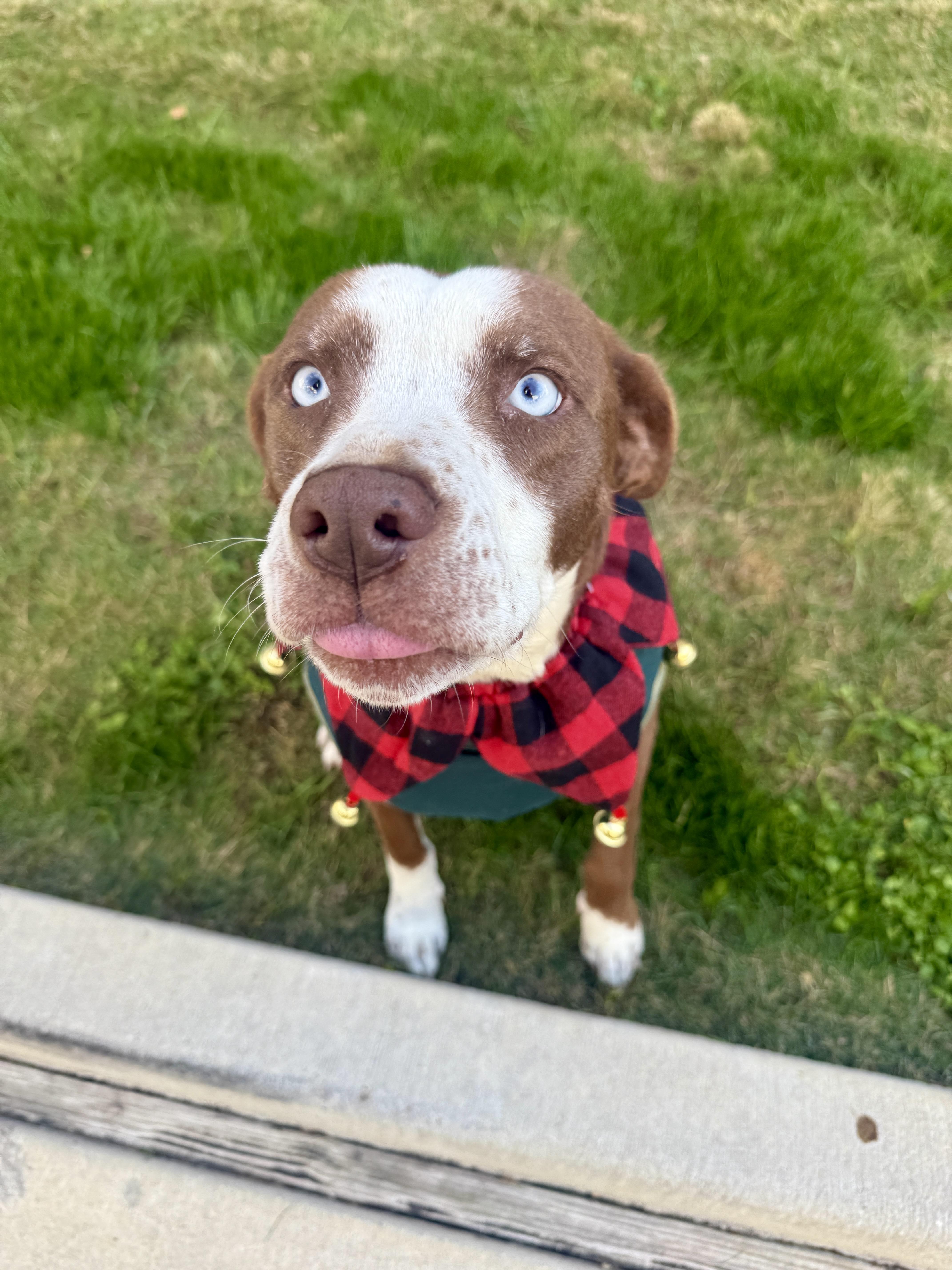 Mama Rosemary thumbnail 5