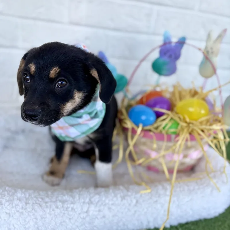 Hercules thumbnail 2