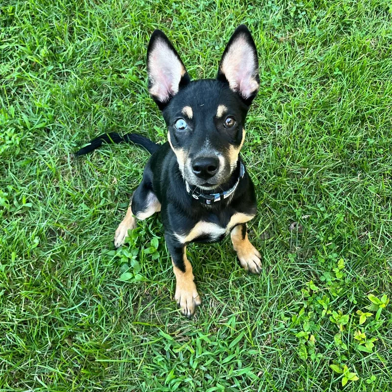 Skye