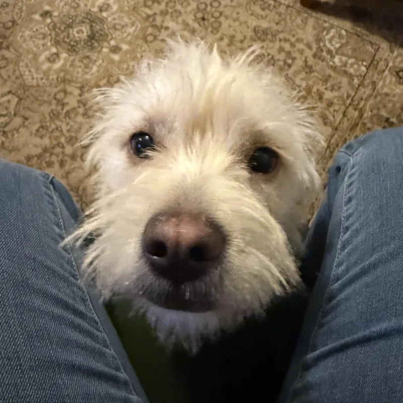 Jenny