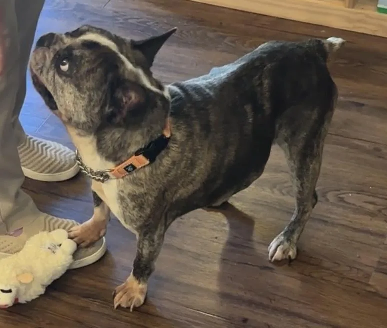 Hercules thumbnail 2