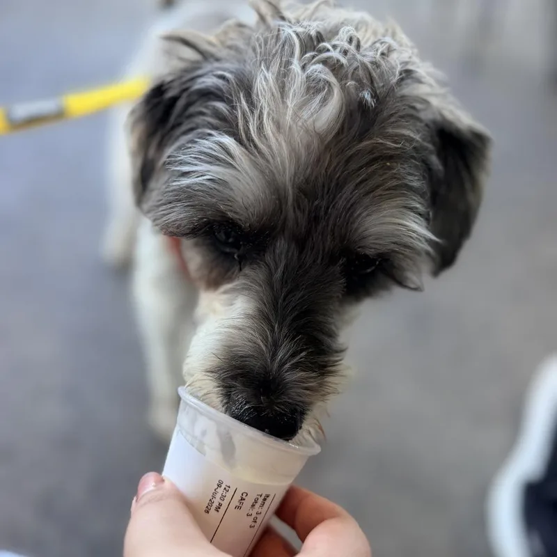Bentley thumbnail 3