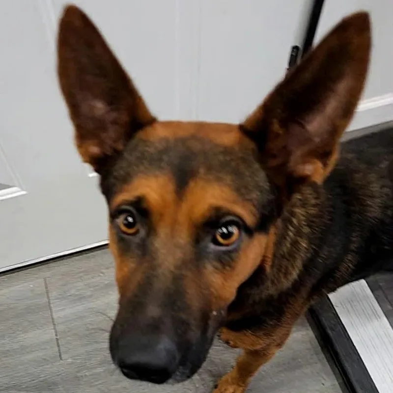 Ernie thumbnail 5