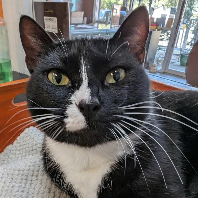 Wendy @ Fat Cat thumbnail 2