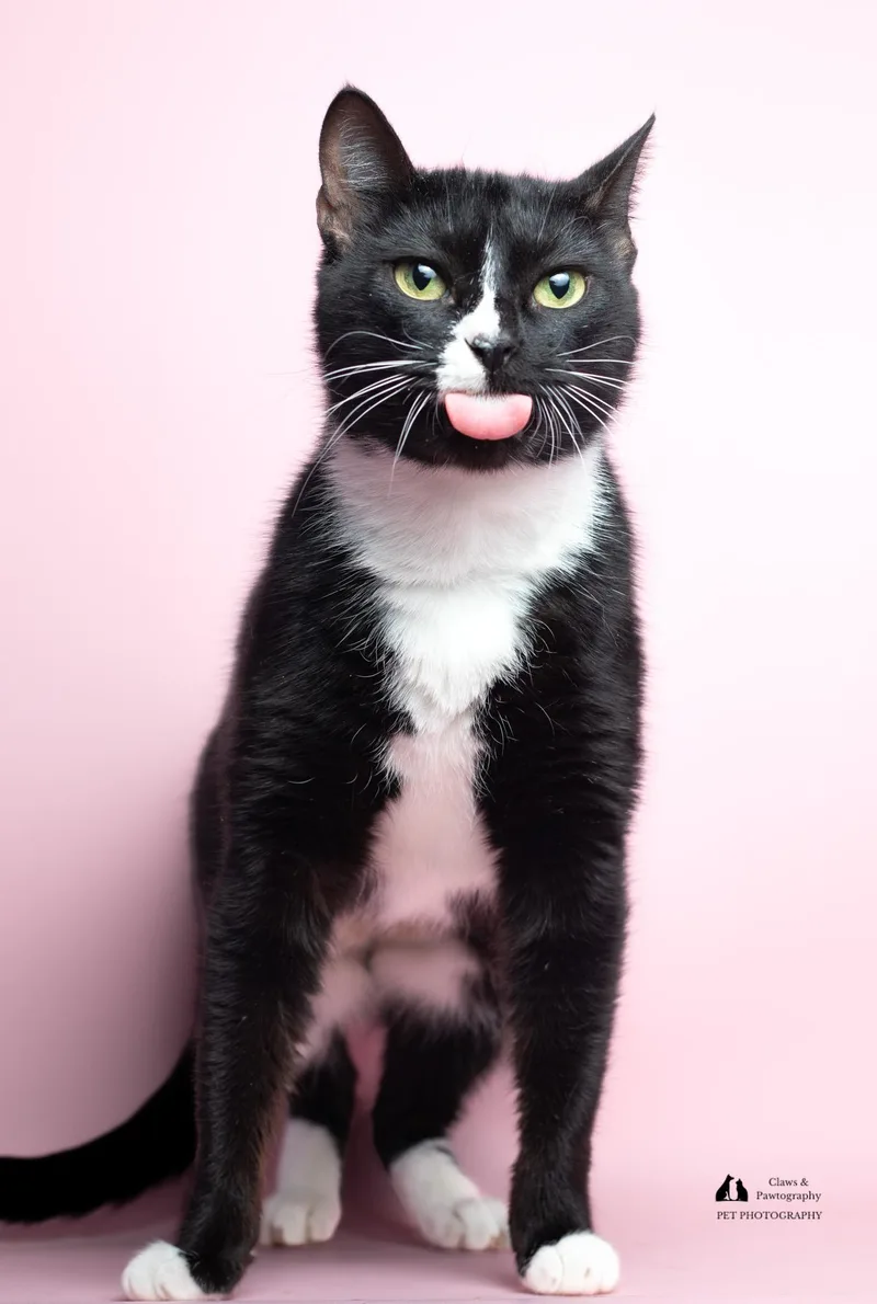 Wendy @ Fat Cat thumbnail 4