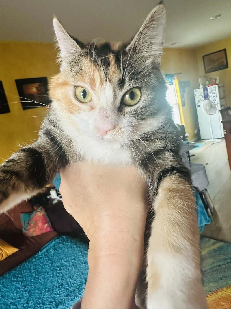 Princess Peach thumbnail 3