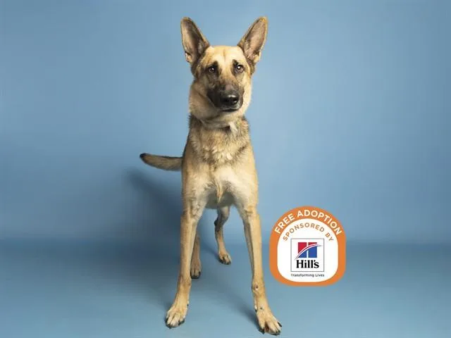 Duke